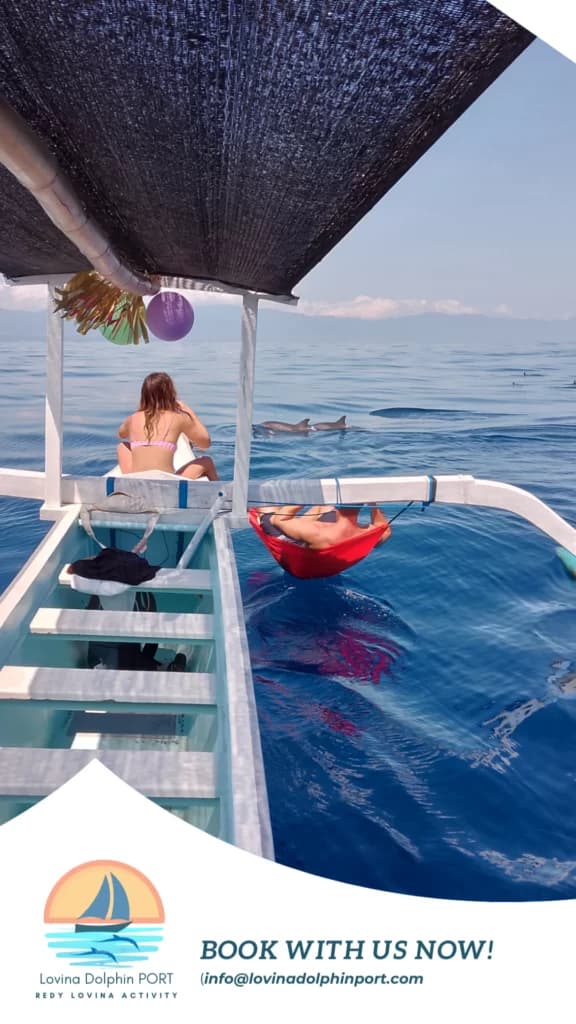 Sunrise Dolphin Odyssey