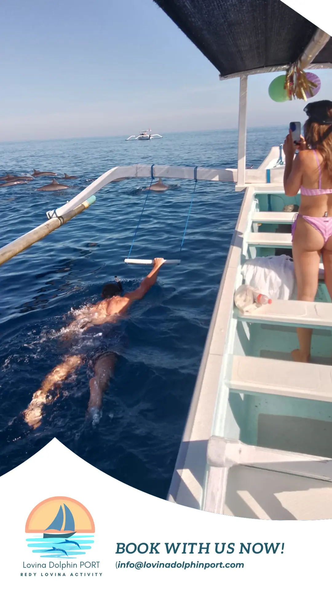 Wild Dolphin Swim Encounter